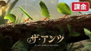 theants-kakin 課金