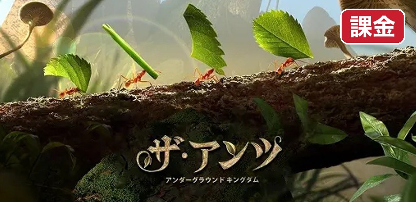ザ・アンツ 課金とダイヤモンド